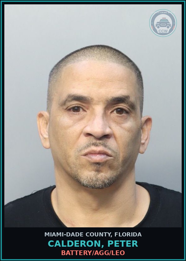 Booking mugshot of CALDERON, PETER in Miami-Dade County