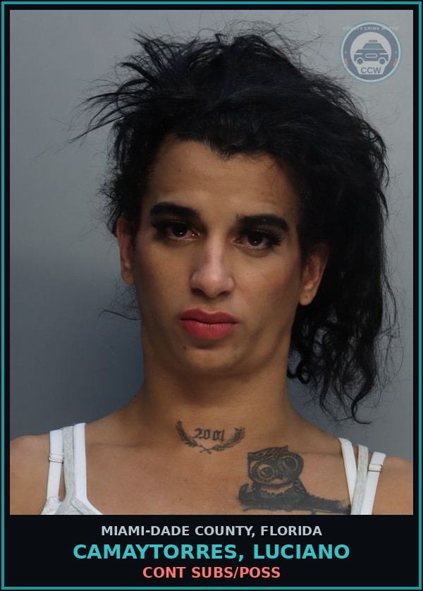 Booking mugshot of CAMAYTORRES, LUCIANO in Miami-Dade County
