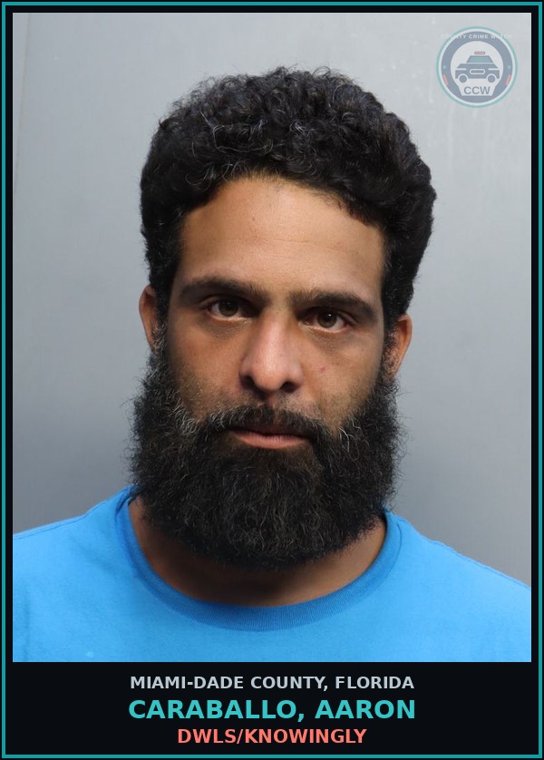 Booking mugshot of CARABALLO, AARON in Miami-Dade County