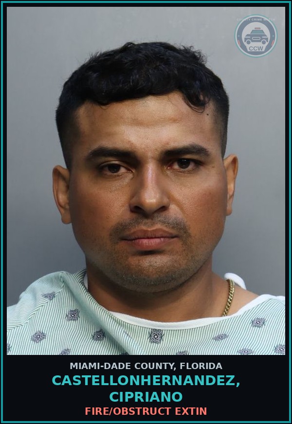 Booking mugshot of CASTELLONHERNANDEZ, CIPRIANO in Miami-Dade County