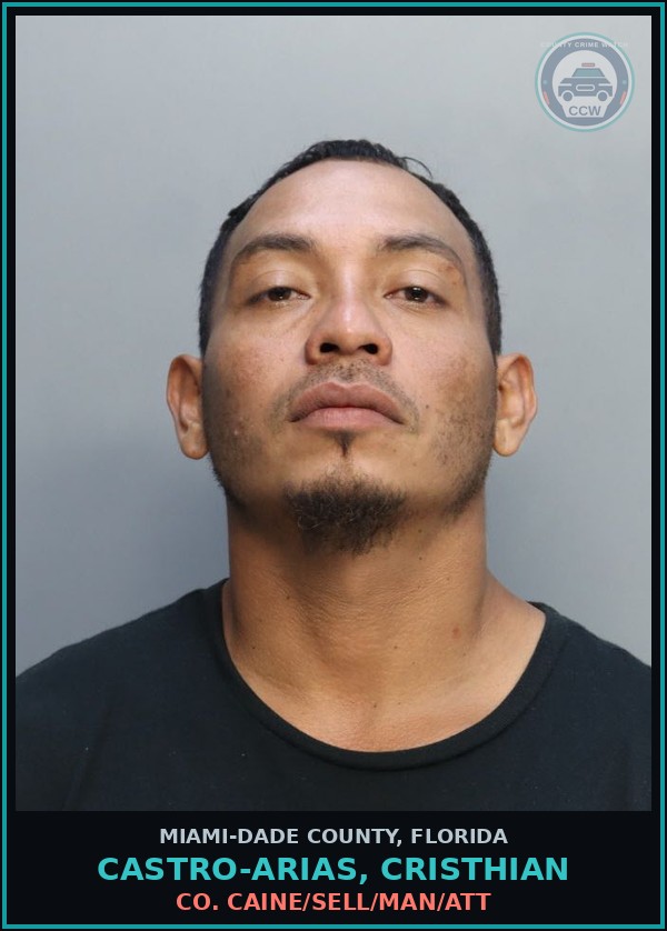 Booking mugshot of CASTRO-ARIAS, CRISTHIAN in Miami-Dade County