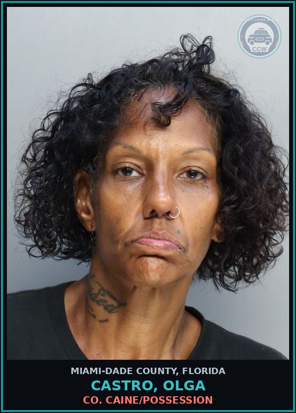 Booking mugshot of CASTRO, OLGA in Miami-Dade County