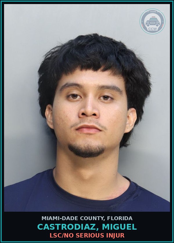 Booking mugshot of CASTRODIAZ, MIGUEL in Miami-Dade County