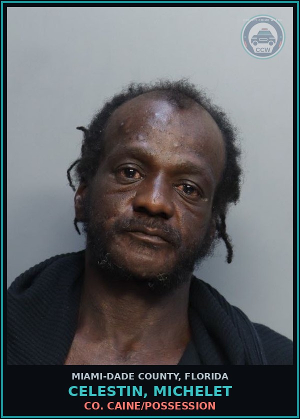 Booking mugshot of CELESTIN, MICHELET in Miami-Dade County