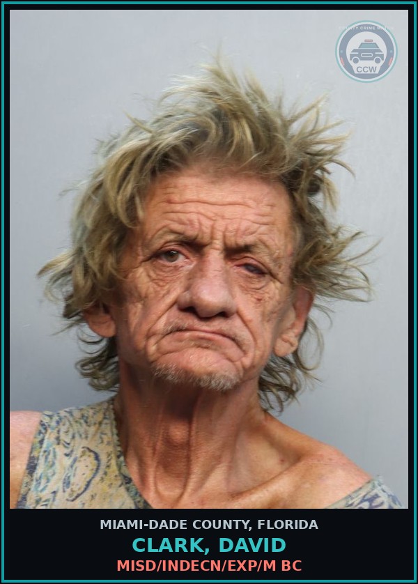 Booking mugshot of CLARK, DAVID in Miami-Dade County