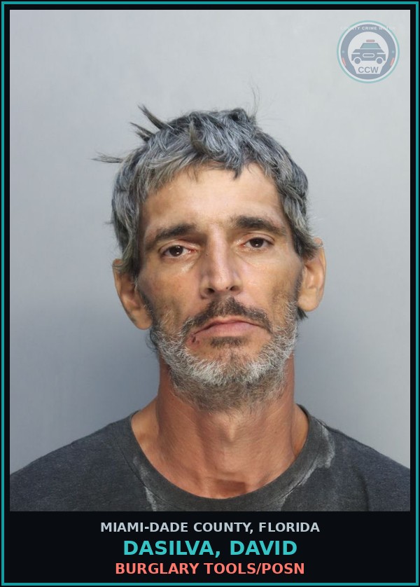 Booking mugshot of DASILVA, DAVID in Miami-Dade County