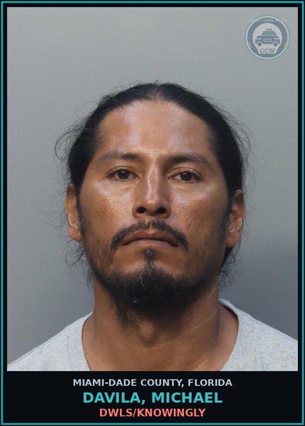Booking mugshot of DAVILA, MICHAEL in Miami-Dade County