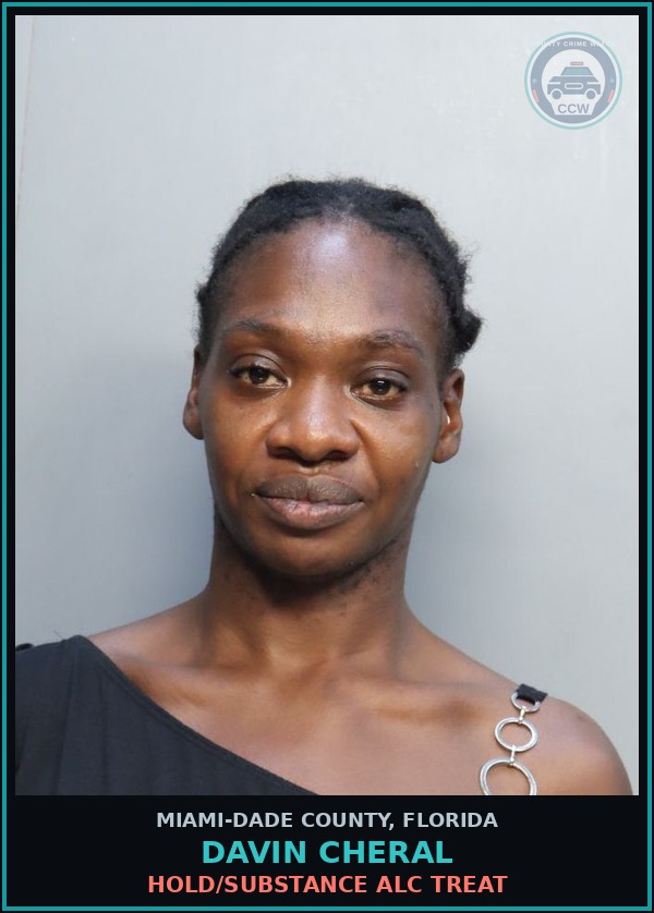 Booking mugshot of DAVIN CHERAL in Miami-Dade County