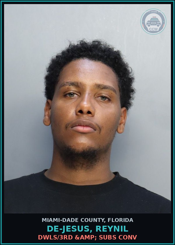 Booking mugshot of DE-JESUS, REYNIL in Miami-Dade County