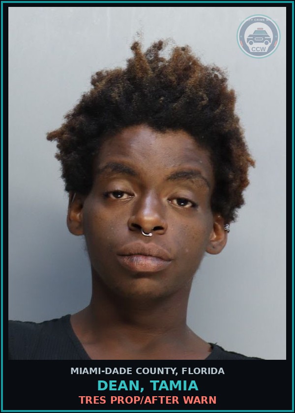 Booking mugshot of DEAN, TAMIA in Miami-Dade County