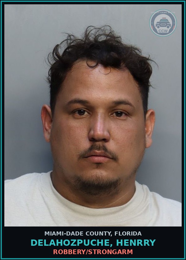 Booking mugshot of DELAHOZPUCHE, HENRRY in Miami-Dade County