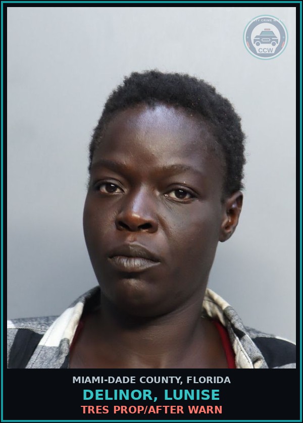 Booking mugshot of DELINOR, LUNISE in Miami-Dade County