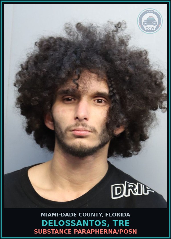 Booking mugshot of DELOSSANTOS, TRE in Miami-Dade County