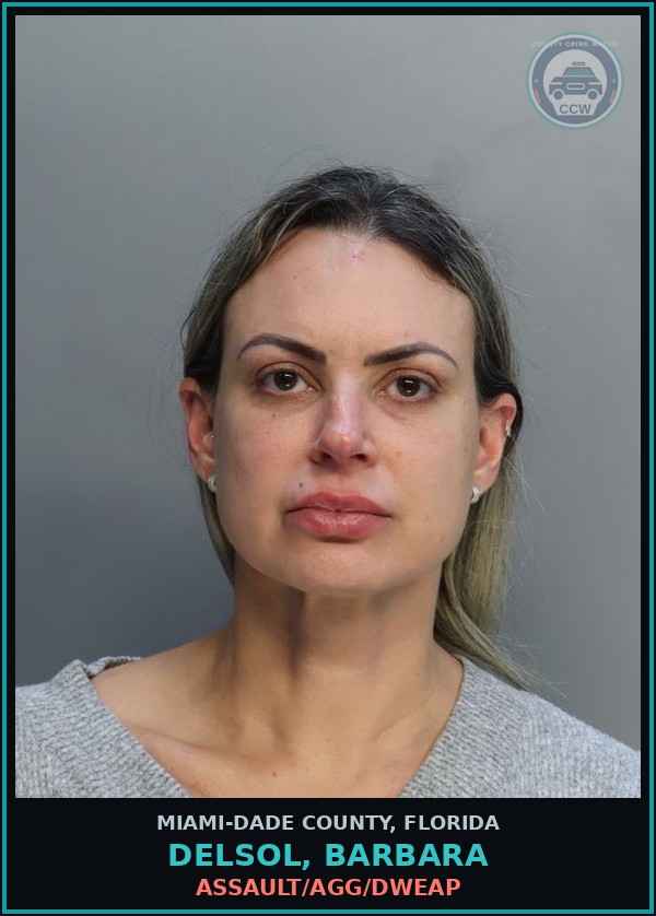 Booking mugshot of DELSOL, BARBARA in Miami-Dade County