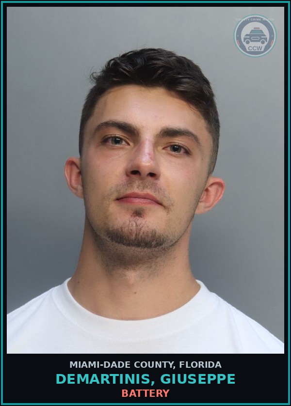 Booking mugshot of DEMARTINIS, GIUSEPPE in Miami-Dade County