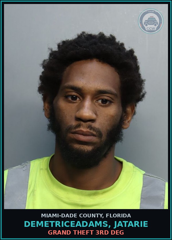 Booking mugshot of DEMETRICEADAMS, JATARIE in Miami-Dade County