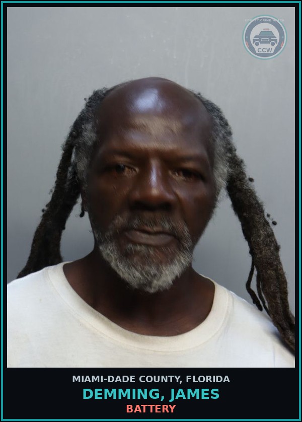 Booking mugshot of DEMMING, JAMES in Miami-Dade County