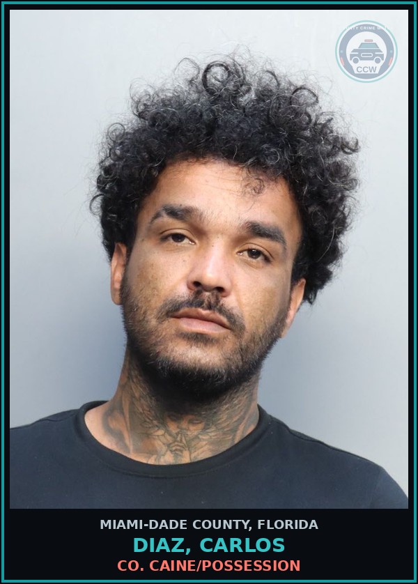 Booking mugshot of DIAZ, CARLOS in Miami-Dade County