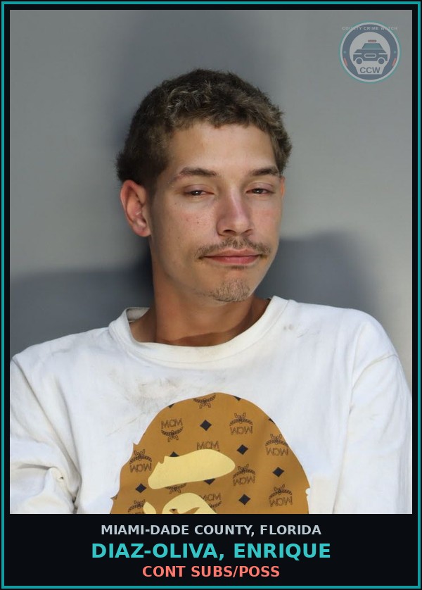 Booking mugshot of DIAZ-OLIVA, ENRIQUE in Miami-Dade County