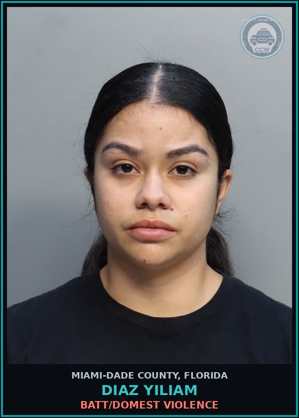 Booking mugshot of DIAZ YILIAM in Miami-Dade County