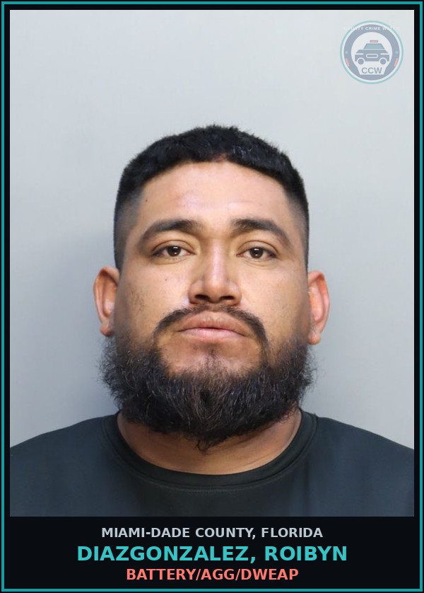 Booking mugshot of DIAZGONZALEZ, ROIBYN in Miami-Dade County