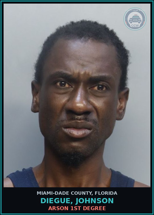 Booking mugshot of DIEGUE, JOHNSON in Miami-Dade County