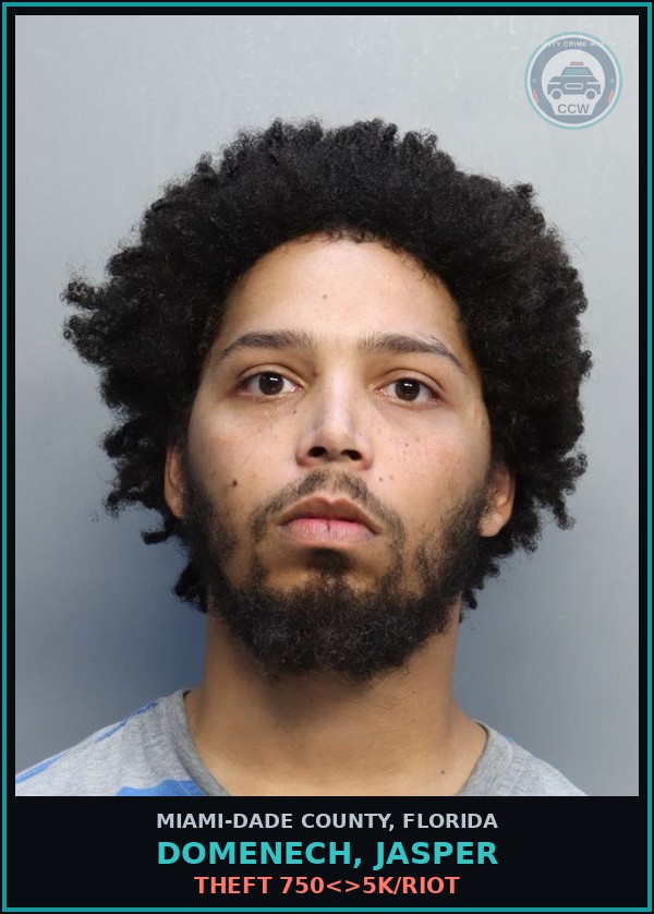 Booking mugshot of DOMENECH, JASPER in Miami-Dade County