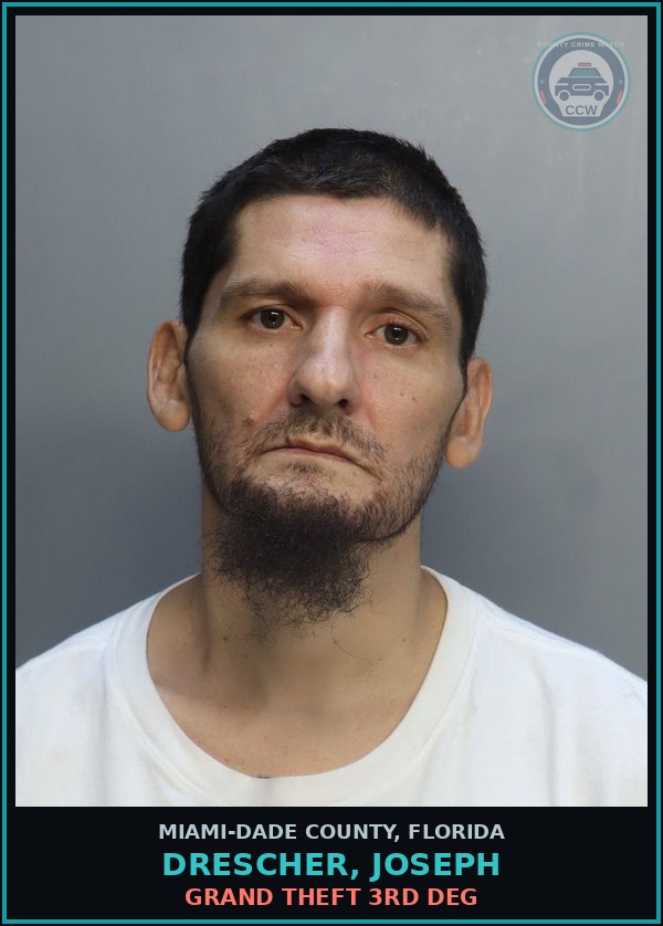Booking mugshot of DRESCHER, JOSEPH in Miami-Dade County