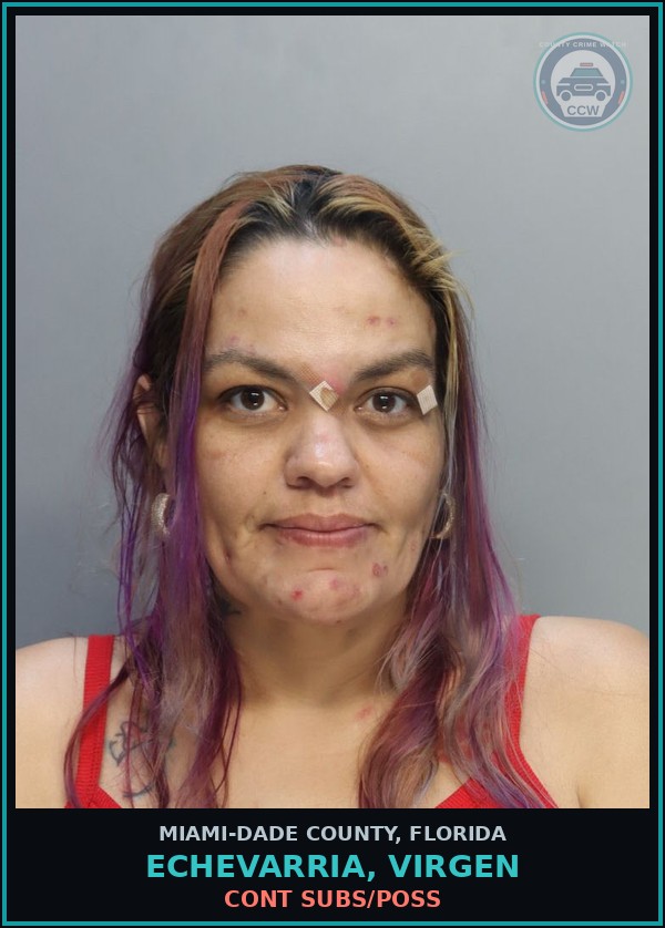 Booking mugshot of ECHEVARRIA, VIRGEN in Miami-Dade County