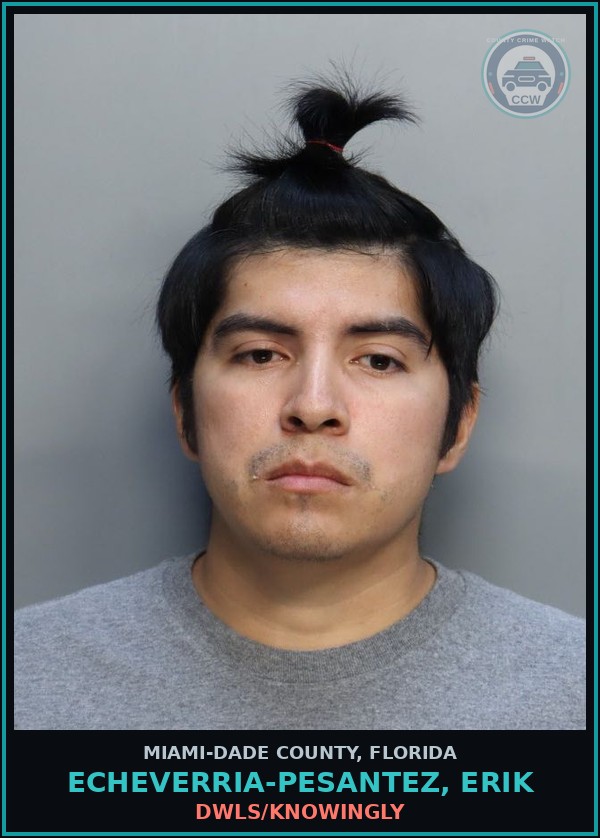 Booking mugshot of ECHEVERRIA-PESANTEZ, ERIK in Miami-Dade County