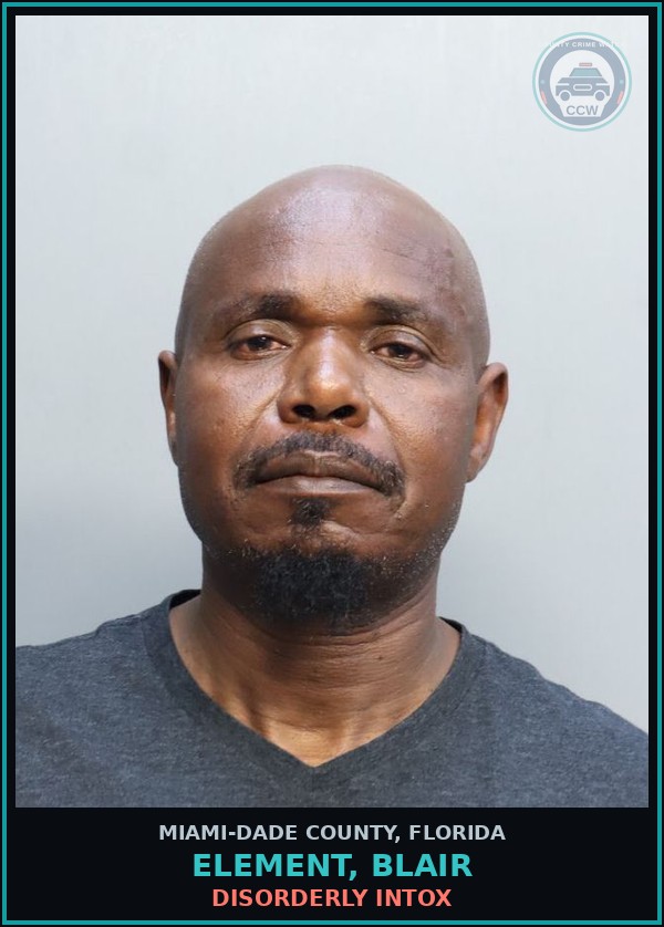 Booking mugshot of ELEMENT, BLAIR in Miami-Dade County