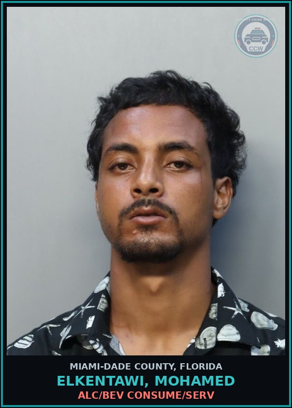 Booking mugshot of ELKENTAWI, MOHAMED in Miami-Dade County