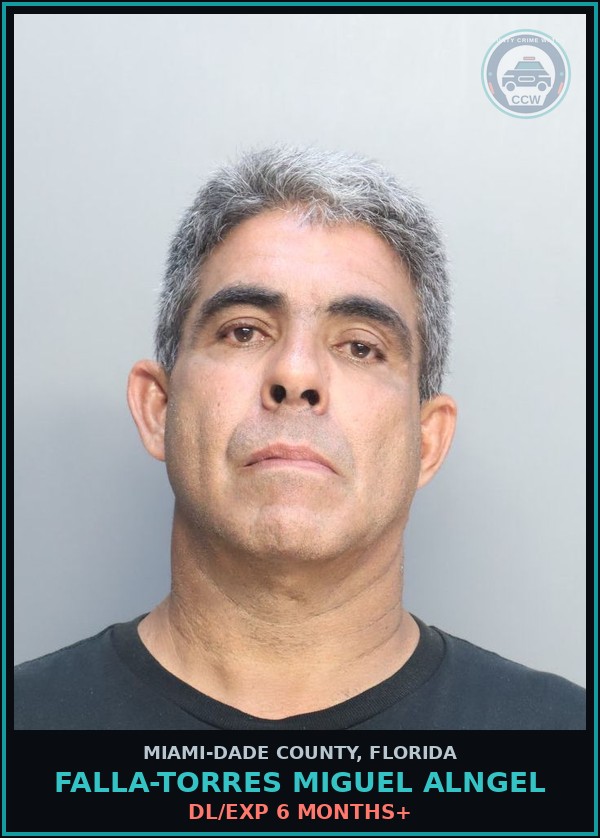 Booking mugshot of FALLA-TORRES MIGUEL  ALNGEL in Miami-Dade County