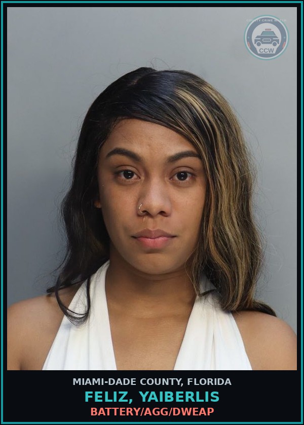 Booking mugshot of FELIZ, YAIBERLIS in Miami-Dade County