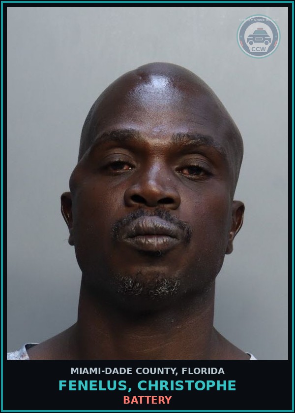 Booking mugshot of FENELUS, CHRISTOPHE in Miami-Dade County