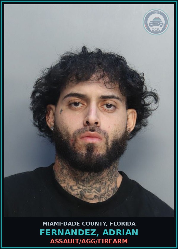 Booking mugshot of FERNANDEZ, ADRIAN in Miami-Dade County