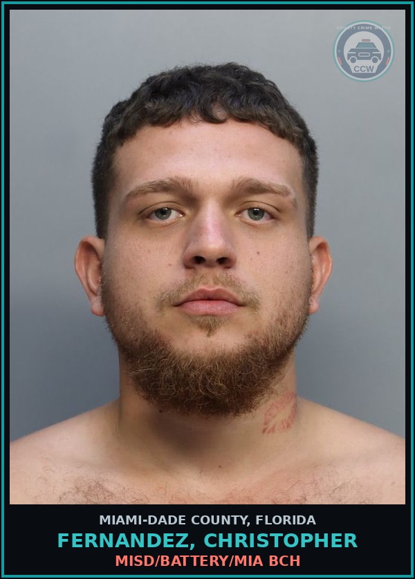 Booking mugshot of FERNANDEZ, CHRISTOPHER in Miami-Dade County