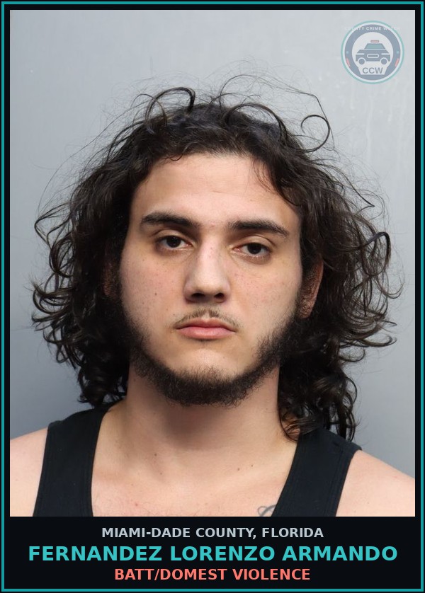 Booking mugshot of FERNANDEZ LORENZO  ARMANDO in Miami-Dade County