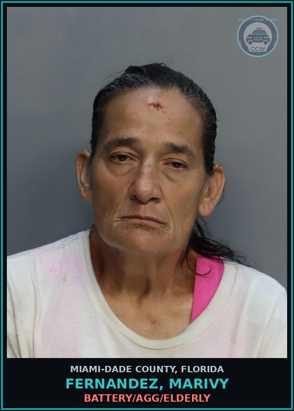 Booking mugshot of FERNANDEZ, MARIVY in Miami-Dade County