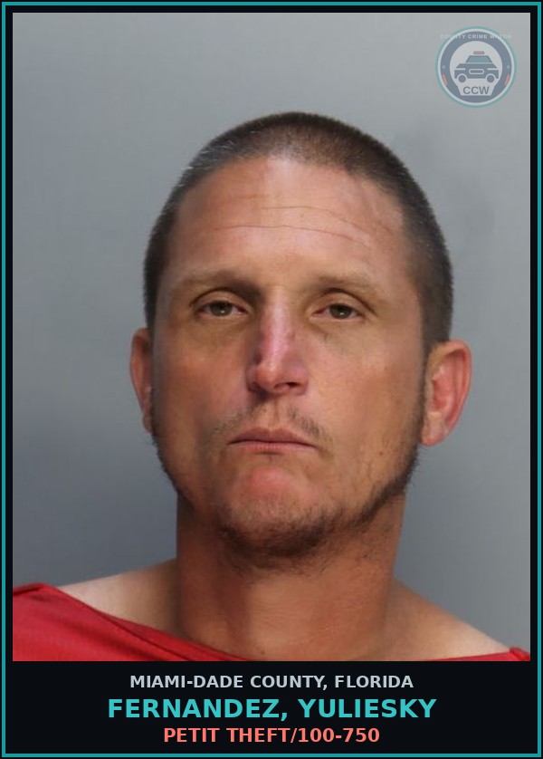 Booking mugshot of FERNANDEZ, YULIESKY in Miami-Dade County
