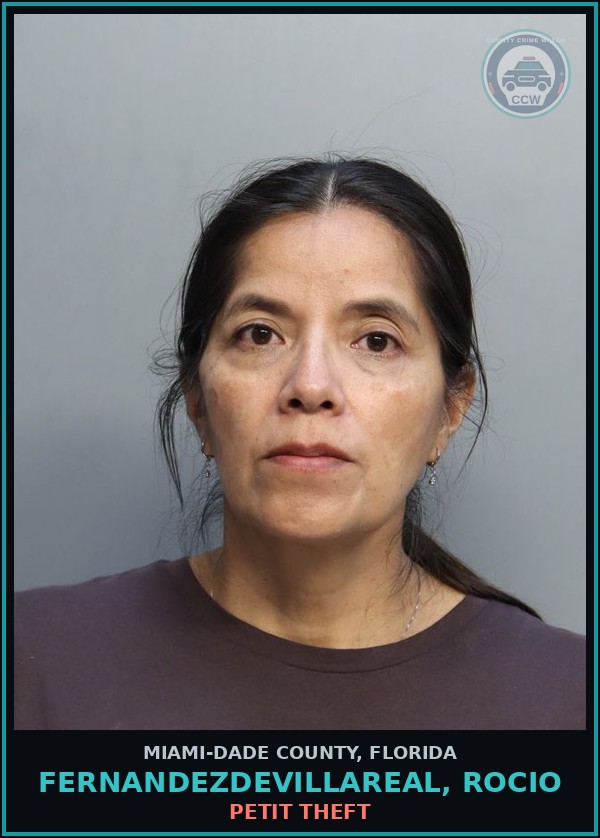 Booking mugshot of FERNANDEZDEVILLAREAL, ROCIO in Miami-Dade County