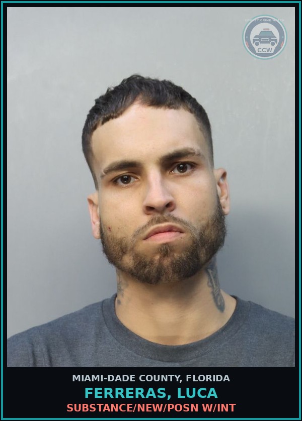 Booking mugshot of FERRERAS, LUCA in Miami-Dade County