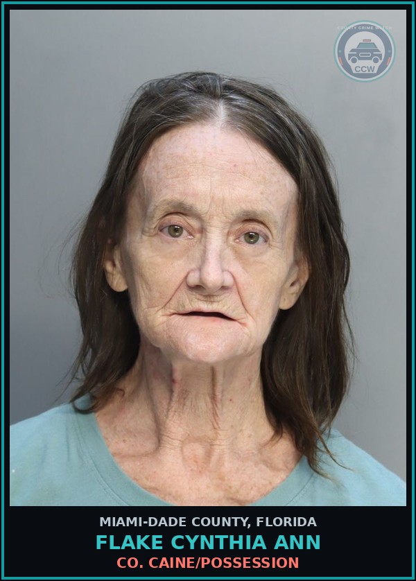 Booking mugshot of FLAKE CYNTHIA  ANN in Miami-Dade County