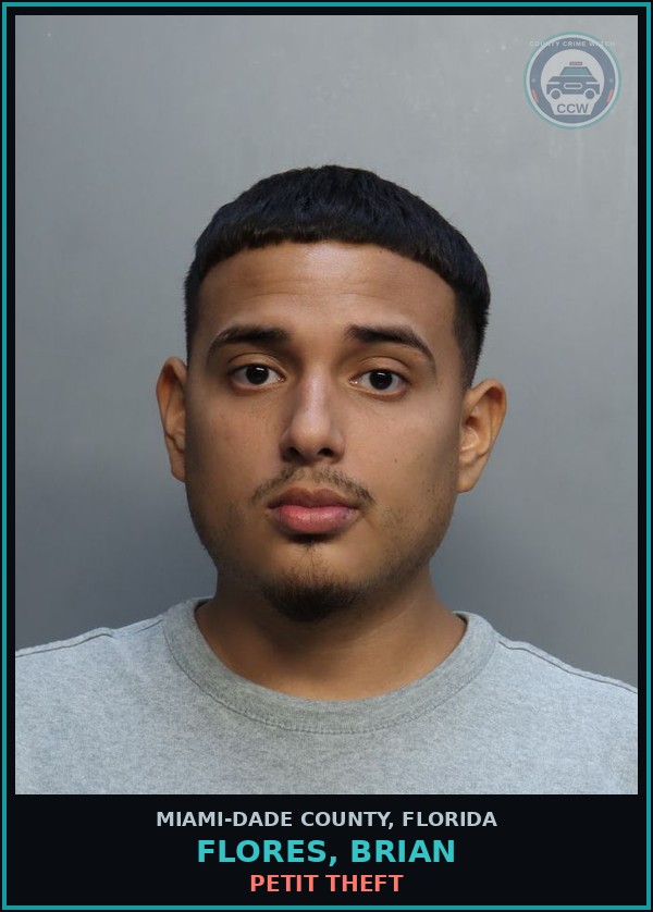 Booking mugshot of FLORES, BRIAN in Miami-Dade County