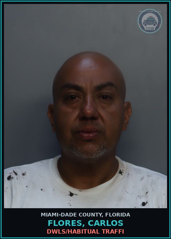 Booking mugshot of FLORES, CARLOS in Miami-Dade County