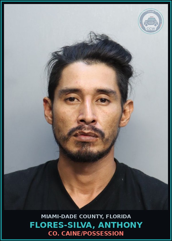 Booking mugshot of FLORES-SILVA, ANTHONY in Miami-Dade County