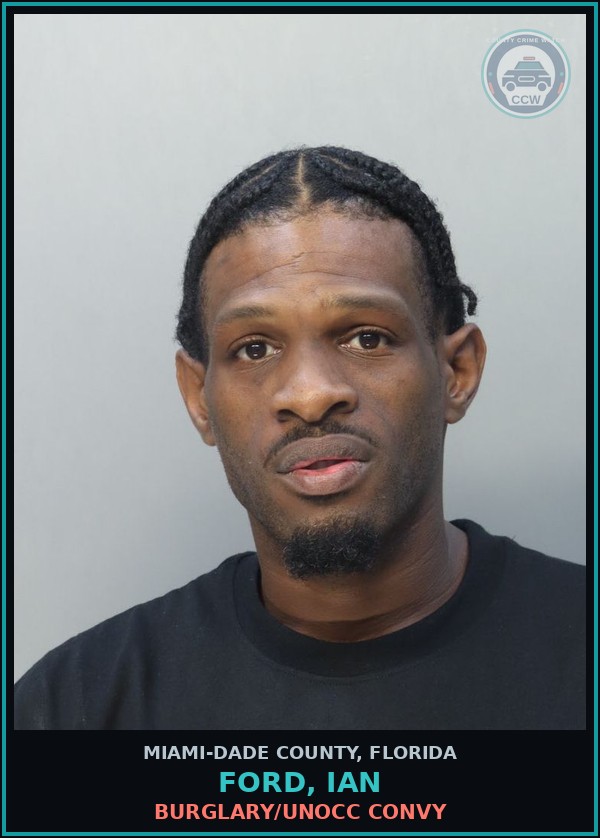 Booking mugshot of FORD, IAN in Miami-Dade County