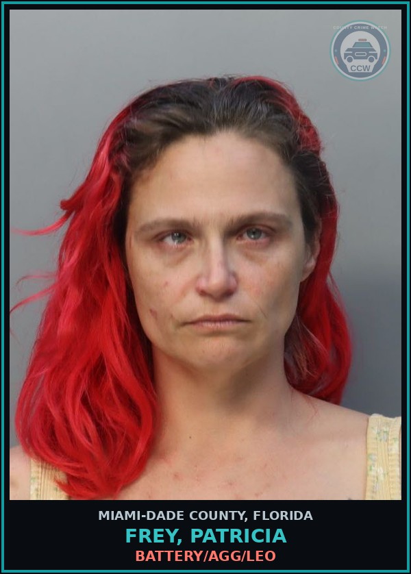 Booking mugshot of FREY, PATRICIA in Miami-Dade County