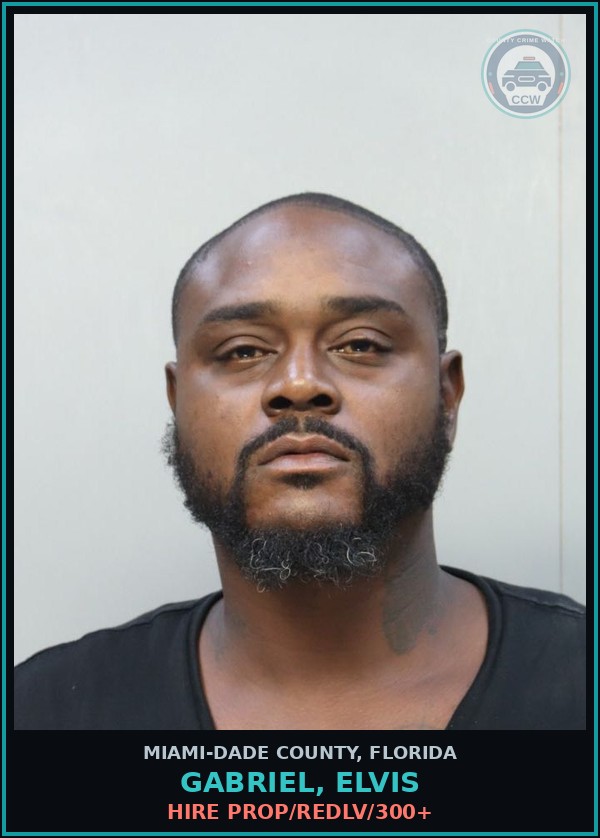 Booking mugshot of GABRIEL, ELVIS in Miami-Dade County