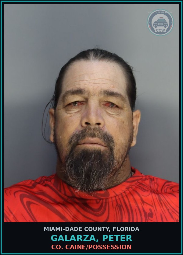 Booking mugshot of GALARZA, PETER in Miami-Dade County